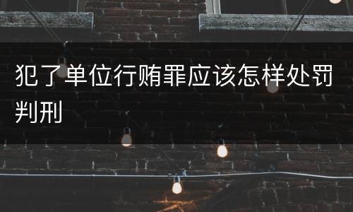 犯了单位行贿罪应该怎样处罚判刑