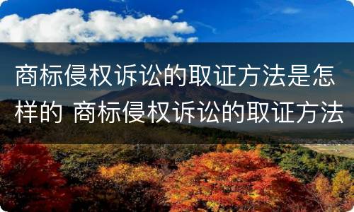 商标侵权诉讼的取证方法是怎样的 商标侵权诉讼的取证方法是怎样的呢