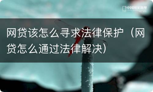 网贷该怎么寻求法律保护（网贷怎么通过法律解决）