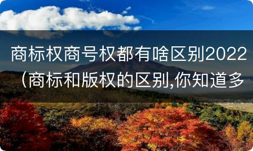 商标权商号权都有啥区别2022（商标和版权的区别,你知道多少?）