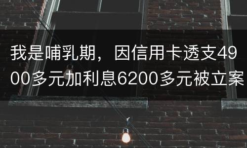 我是哺乳期，因信用卡透支4900多元加利息6200多元被立案侦查了，会被判刑吗