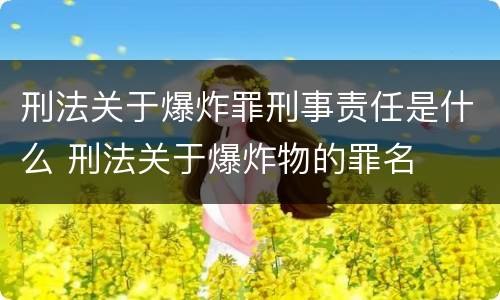 刑法关于爆炸罪刑事责任是什么 刑法关于爆炸物的罪名