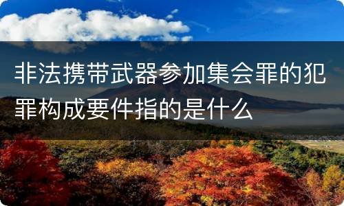 非法携带武器参加集会罪的犯罪构成要件指的是什么