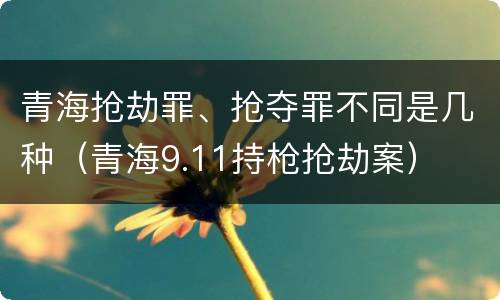 青海抢劫罪、抢夺罪不同是几种（青海9.11持枪抢劫案）