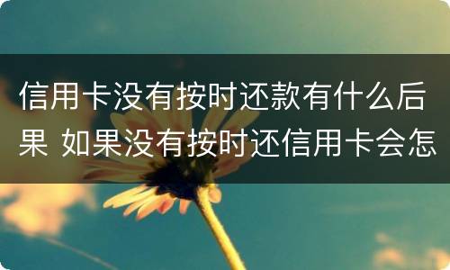信用卡没有按时还款有什么后果 如果没有按时还信用卡会怎么样