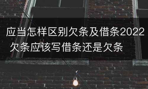 应当怎样区别欠条及借条2022 欠条应该写借条还是欠条