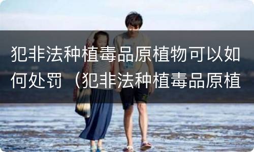 犯非法种植毒品原植物可以如何处罚（犯非法种植毒品原植物可以如何处罚呢）