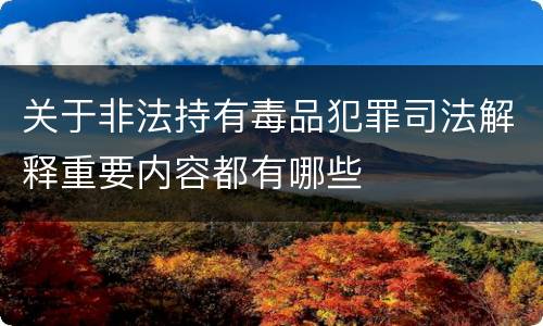 关于非法持有毒品犯罪司法解释重要内容都有哪些