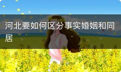河北要如何区分事实婚姻和同居