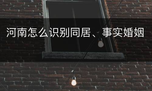 河南怎么识别同居、事实婚姻