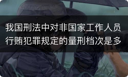 我国刑法中对非国家工作人员行贿犯罪规定的量刑档次是多少
