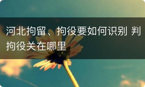 河北拘留、拘役要如何识别 判拘役关在哪里