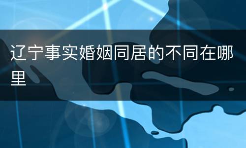 辽宁事实婚姻同居的不同在哪里