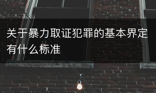 关于暴力取证犯罪的基本界定有什么标准