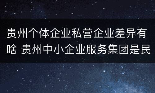 贵州个体企业私营企业差异有啥 贵州中小企业服务集团是民营