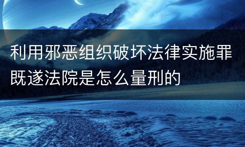 利用邪恶组织破坏法律实施罪既遂法院是怎么量刑的