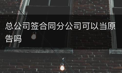 总公司签合同分公司可以当原告吗