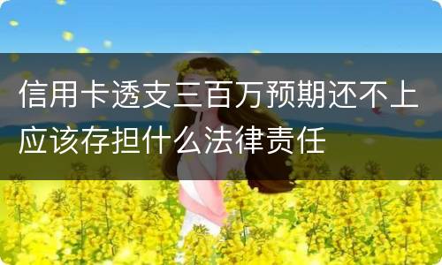 信用卡透支三百万预期还不上应该存担什么法律责任
