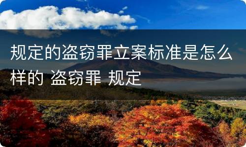 规定的盗窃罪立案标准是怎么样的 盗窃罪 规定