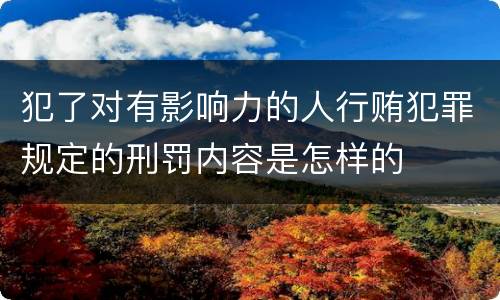 犯了对有影响力的人行贿犯罪规定的刑罚内容是怎样的