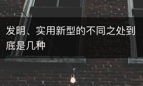 发明、实用新型的不同之处到底是几种