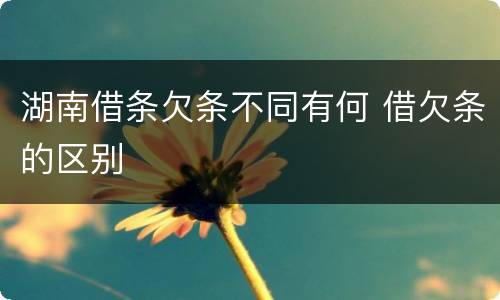 湖南借条欠条不同有何 借欠条的区别