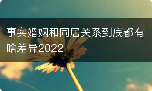 事实婚姻和同居关系到底都有啥差异2022
