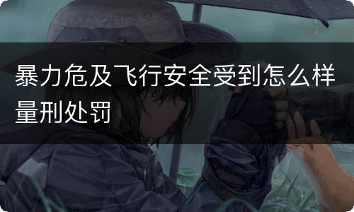暴力危及飞行安全受到怎么样量刑处罚