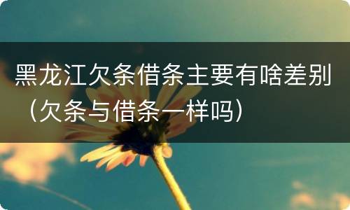 黑龙江欠条借条主要有啥差别（欠条与借条一样吗）
