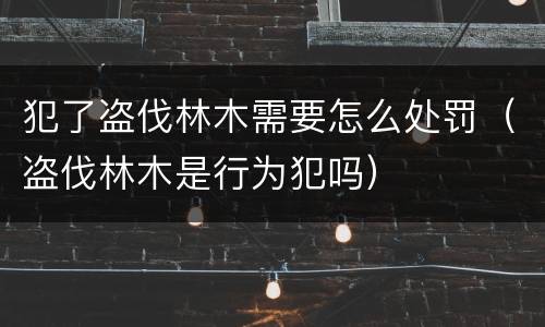 犯了盗伐林木需要怎么处罚（盗伐林木是行为犯吗）