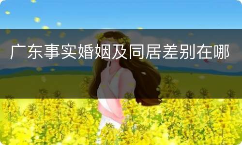 广东事实婚姻及同居差别在哪
