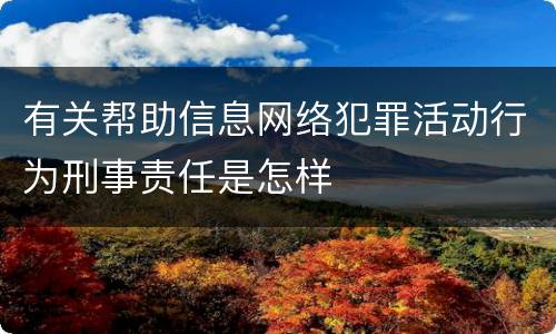有关帮助信息网络犯罪活动行为刑事责任是怎样