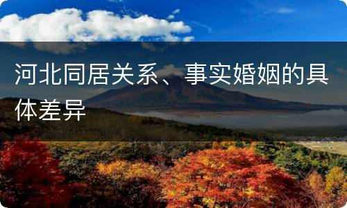 河北同居关系、事实婚姻的具体差异