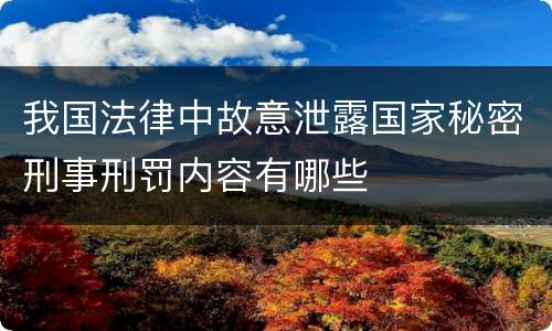 我国法律中故意泄露国家秘密刑事刑罚内容有哪些