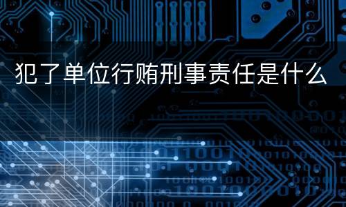 犯了单位行贿刑事责任是什么