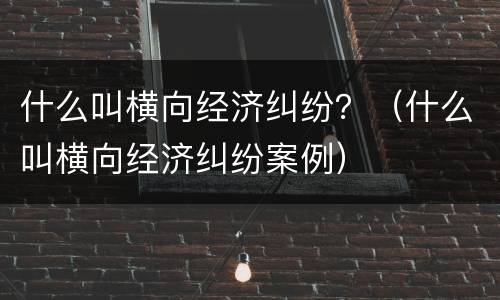 什么叫横向经济纠纷？（什么叫横向经济纠纷案例）