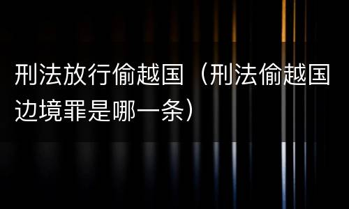 刑法放行偷越国（刑法偷越国边境罪是哪一条）