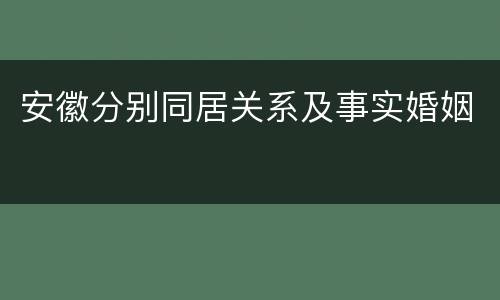 安徽分别同居关系及事实婚姻