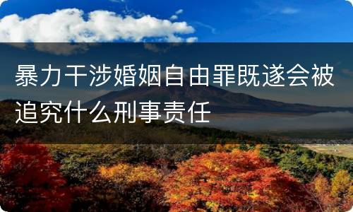 暴力干涉婚姻自由罪既遂会被追究什么刑事责任