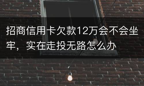 招商信用卡欠款12万会不会坐牢，实在走投无路怎么办
