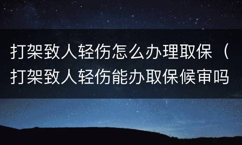 打架致人轻伤怎么办理取保（打架致人轻伤能办取保候审吗）