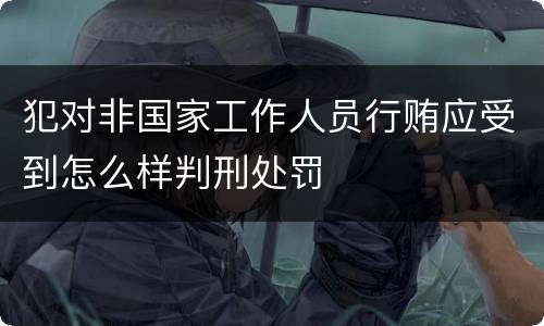 犯对非国家工作人员行贿应受到怎么样判刑处罚