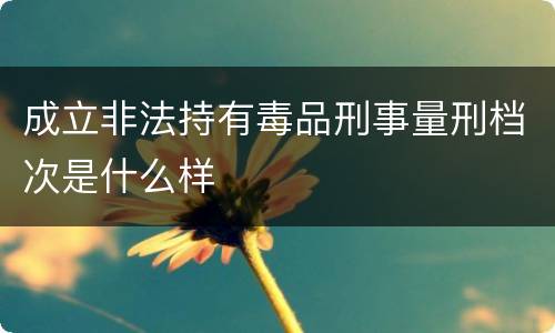 成立非法持有毒品刑事量刑档次是什么样