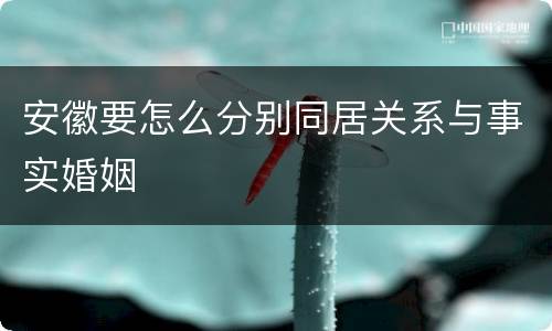 安徽要怎么分别同居关系与事实婚姻