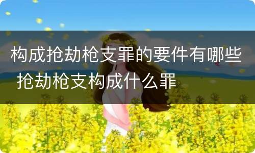 构成抢劫枪支罪的要件有哪些 抢劫枪支构成什么罪