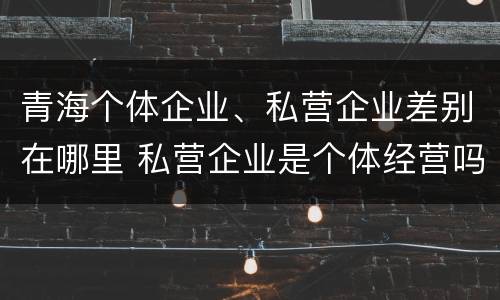 青海个体企业、私营企业差别在哪里 私营企业是个体经营吗