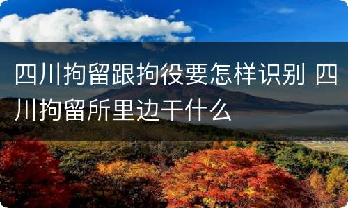 四川拘留跟拘役要怎样识别 四川拘留所里边干什么