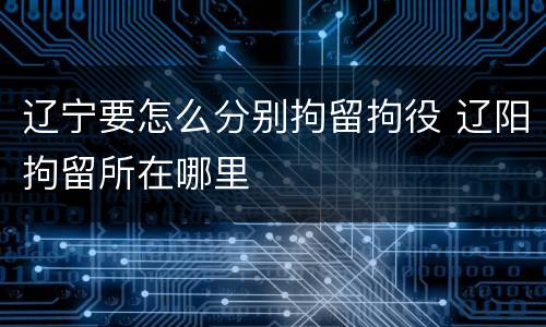 辽宁要怎么分别拘留拘役 辽阳拘留所在哪里