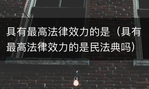具有最高法律效力的是（具有最高法律效力的是民法典吗）
