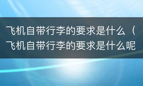 飞机自带行李的要求是什么（飞机自带行李的要求是什么呢）